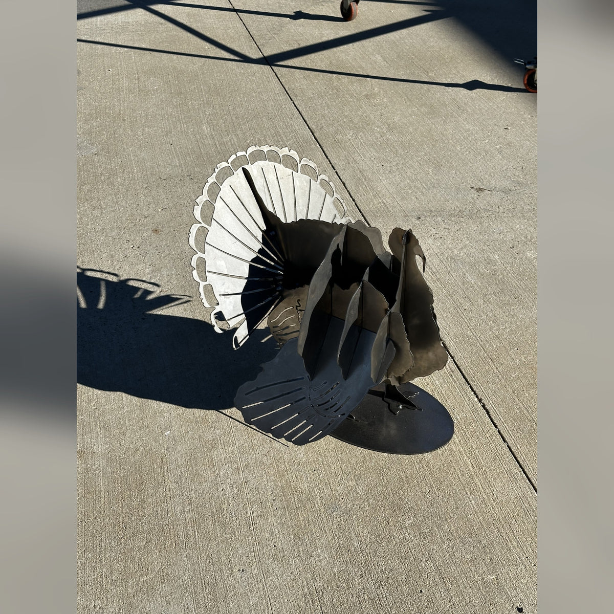 Steel turkey sculpture in full strut with its tail fanned, on concrete